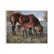 Stupell Industries Brown Horse & Foal Grazing Wall Plaque By Jack Sorenson